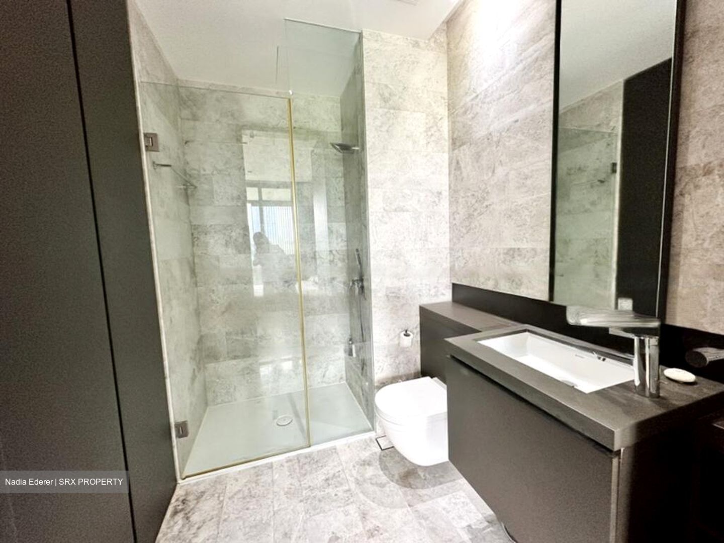 OUE Twin Peaks (D9), Condominium #479806051